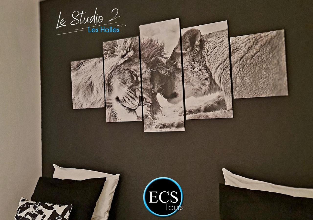 "Le Safari" - 2 Lits - Au Coeur Du Vieux Tours Apartment Bagian luar foto